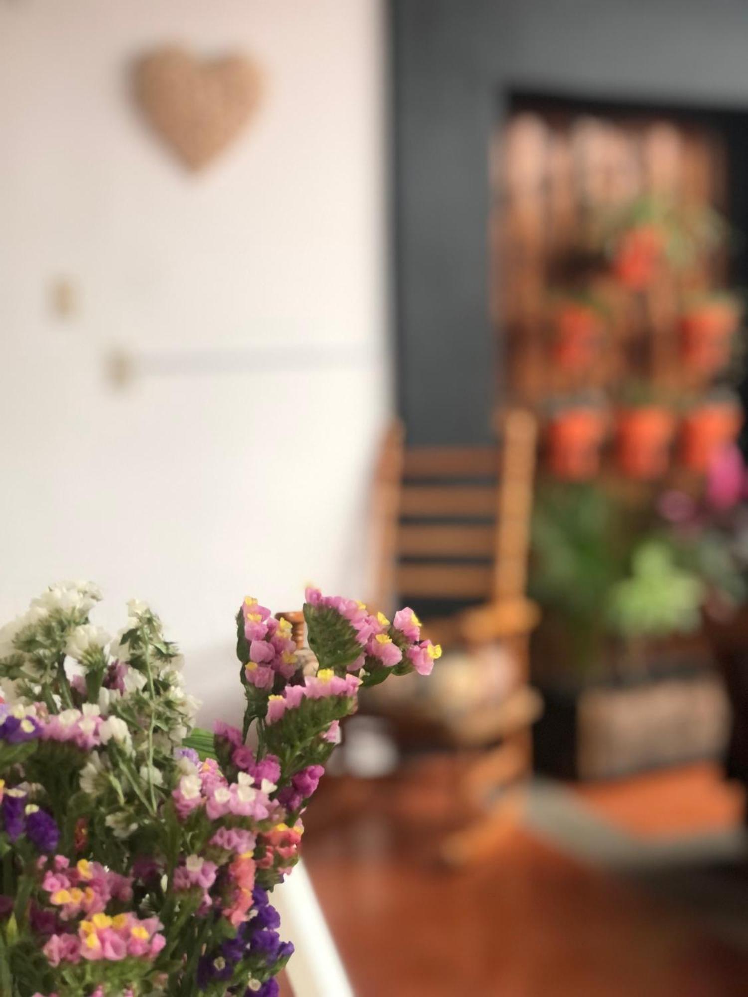 Hostal Casa Gaia San Cristóbal de Las Casas 外观 照片