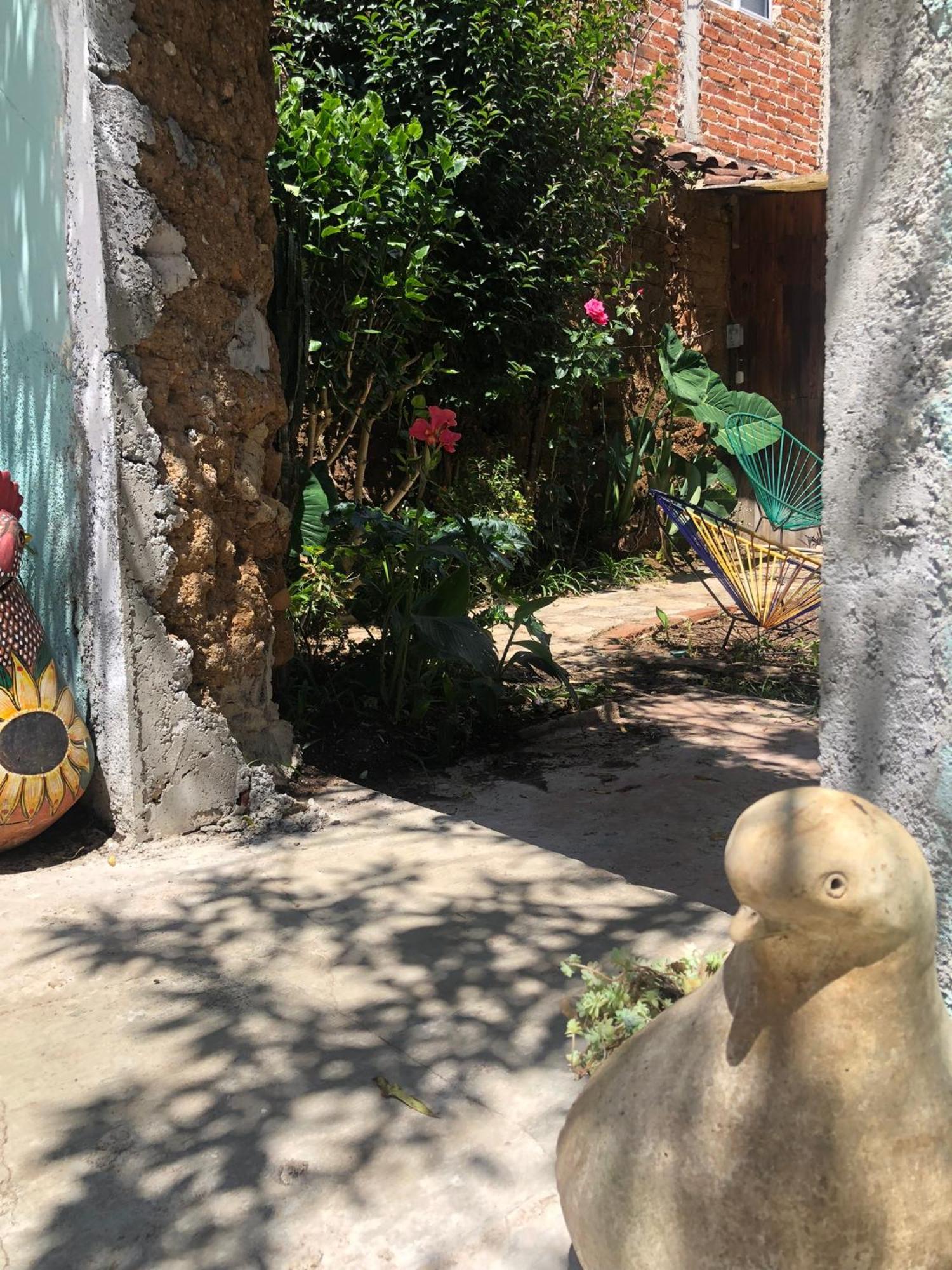 Hostal Casa Gaia San Cristóbal de Las Casas 外观 照片